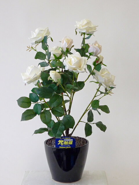 ”超質感”光触媒アートフラワー（造花）　ばら（バラ・薔薇）1本立ち（ホワイト）生花と間違えるほどのリアルな質感をぜひ体験してください。 贈り物・母の日・新築祝・開店祝・誕生日・記念日・卒業式・入学式・ギフト・お歳暮・お年賀に【smtb-s】