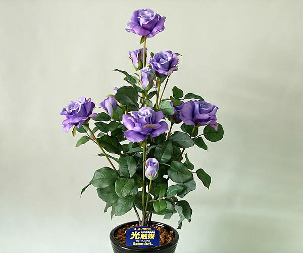 ばら（バラ・薔薇）1本立 紫(パープル)光触媒とアミノ酸のダブルコーティング　消臭力と抗菌力を発揮するアートフラワー（造花）【smtb-s】
