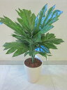 光触媒 観葉植物 造花 パンの木 アートフラワー 送料無料 ミニ 空気清浄機 インテリア ギフト プレゼント 贈り物 お誕生日 記念日 開店祝い
