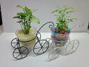 ハイドロカルチャー観葉植物 自転車 素敵なデザインの自転車に観葉植物を植え込みました。インテリアのちょっとしたアクセントにオススメです。