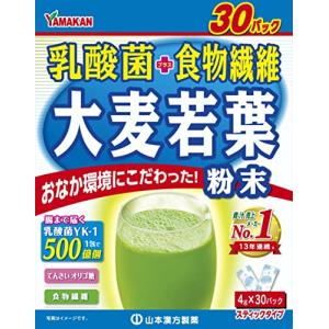 山本漢方製薬　お徳用　　乳酸菌＋大麦若葉粉末　 4g×30包 【正規品】　 ※軽減税率対象品