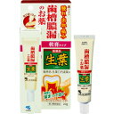 【第3類医薬品】【5個セット】 生葉 口内塗薬20g×5個セット 【正規品】【t-12】(4)