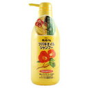 【24個セット】【1ケース分】 純椿油ヘアシャンプー(500mL)×24個セット　1ケース分 【正規品】【dcs】