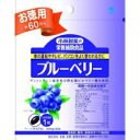 【20個セット】 小林製薬 ブルーベリー 60粒×20個セット 【正規品】 ※軽減税率対象品