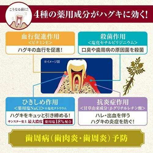 サンスター 薬用塩ハミガキ すっきりハーブタイプ(85g)【正規品】