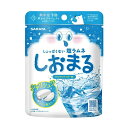 【3個セット】 サラヤ しおまる ひんやりサイダー味(30g)×3個セット【正規品】※軽減税率対象品【t-14】