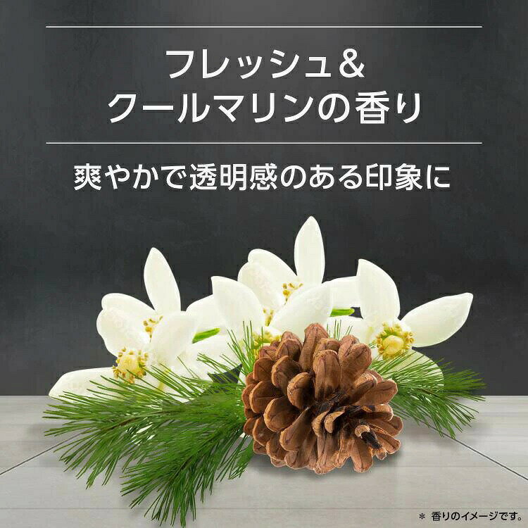 ユニリーバ アックス フレグランスボディスプレー(60g)【正規品】 bloomgreen-10557394 ブルームグリーン サンプル画像2