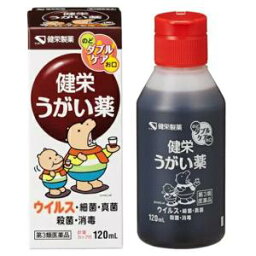 【第3類医薬品】【10個セット】 健栄うがい薬 120mL×10個セット 【正規品】