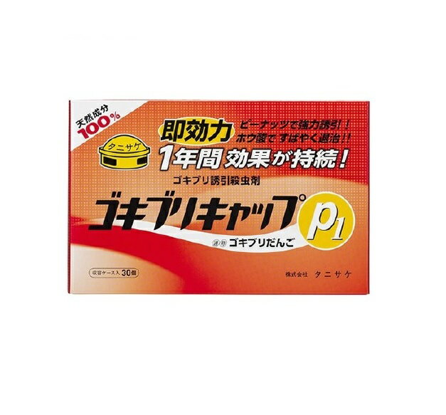 ��20�ĥ��åȡۡ�1������ʬ�� ���˥��� �����֥ꥭ��å�P1(30����)��20�ĥ��åȡ�1������ʬ���������ʡۡ�ori��