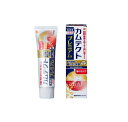 【5個セット】GSK カムテクト プレミアム 歯ぐきケア(105g)×5個セット 【正規品】(4)