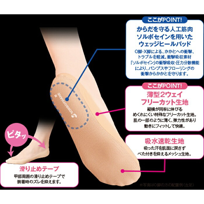 ��20�ĥ��åȡۻ��ʶ��� ����� �եåȥ����� ������ ������ �ե꡼������ 1­����20�ĥ��å� �������ʡۡ�mor�ۡڤ���ʸ��ȯ���ޤǤ�3��������ĺ�פ����礬�������ޤ���