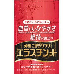 【10個セット】焙煎ごぼうサプリ　エラスチン＋（30粒入）×10個セット 【正規品】 ※軽減税率対象品