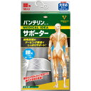 【20個セット】【1ケース分】 バンテリンコーワサポーター腰用 大きめ(L)80-100cm シャイニンググレー 男女共用 1枚入×20個セット 【正規品】