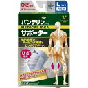 【1ケース分】【30個セット】 バンテリンコーワ サポーター ひざ専用 大きめ/Lサイズ シルバーグレー 1枚入×30個セット【正規品】