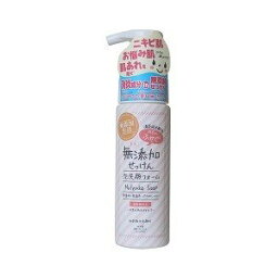 【10個セット】 肌荒れを防ぐ無添加 泡洗顔フォーム 200ml ×10個セット 【正規品】