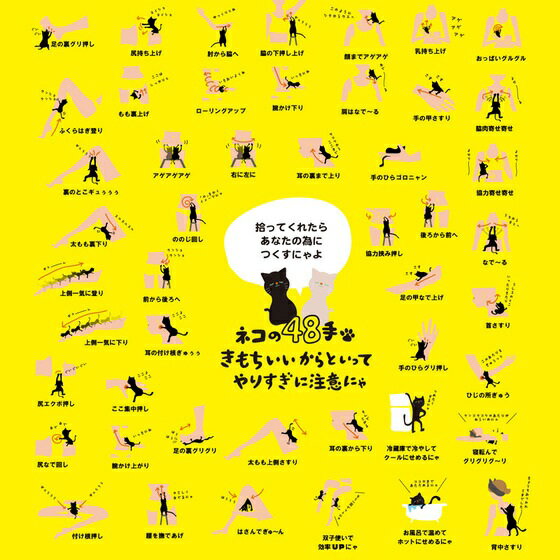 ジャパンギャルズ ニャンコロボール ブラック 全身ほぐし器 1個入【正規品】 3