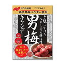 ノーベル　男梅キャンディー　80g 商品説明 『ノーベル　男梅キャンディー　80g』 梅本来の深い味わいとさわやかな酸味とうまみを凝縮した梅キャンディー。 ※企画品のため、急きょ製造終了になる場合が御座います。 【ノーベル　男梅キャンディー　80g　詳細】 原材料など 商品名 ノーベル　男梅キャンディー　80g 内容量 　80g 製造国 日本 販売者 ノーベル 広告文責 株式会社プログレシブクルー072-265-0007 区分 食品ノーベル　男梅キャンディー　80g