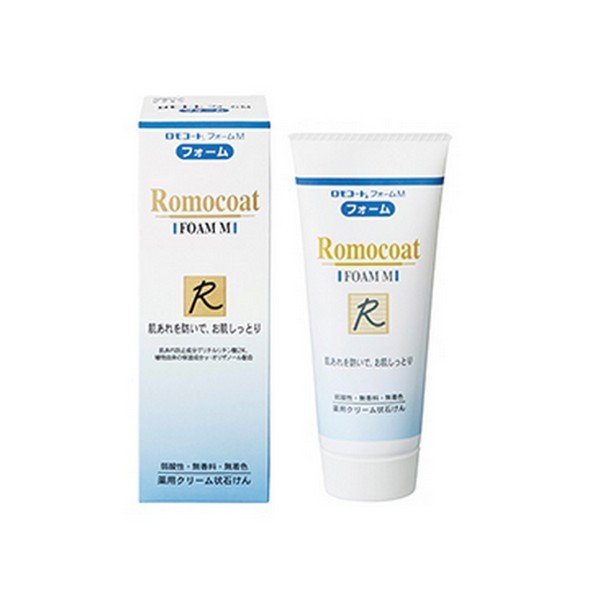 【36個セット】【1ケース分】全薬工業 ロモコートフォームM 100g×36個セット 1ケース分【正規品】【ori】