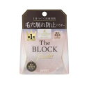 【10個セット】 常盤薬品 サナ 毛穴パテ職人 毛穴崩れブロックパウダー(13g)×10個セット【正規品】
