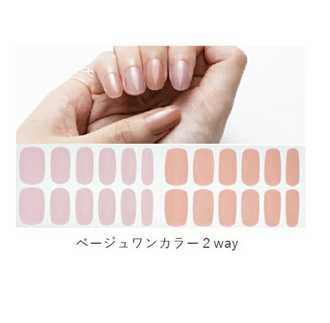 ��20�ĥ��åȡ� ����������� BEAUTY AVENUE �ꥢ�른����ͥ��륷���� �١������󥫥顼(24����)��20�ĥ��å� �������ʡ�