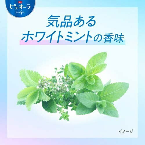 【5個セット】 薬用ピュオーラ ハミガキ ストロングミント(115g)×5個セット【正規品】