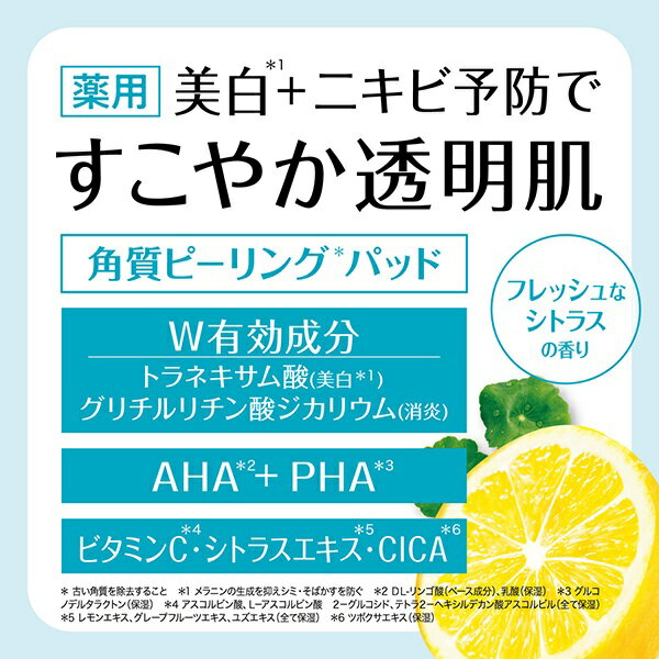 BCL AHA ����󥸥󥰥ꥵ���� ���ѥӥ��ԡ���ѥå�AC(14����)�������ʡۡ�t-20��