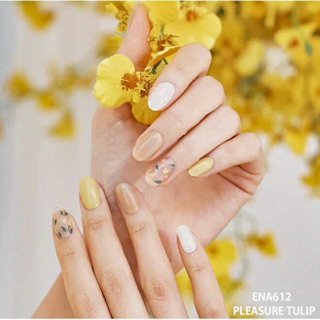 ��10�ĥ��åȡ� ����������� EDGEU �ͥ��륷���� ENA612 PLEASURE TULIP(1���å�)��10�ĥ��åȡ������ʡ�