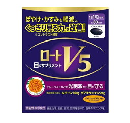 【10個セット】ロート製薬 V5a 目のサプリメント(30粒入)×10個セット 【正規品】※軽減税率対象品【t-4】