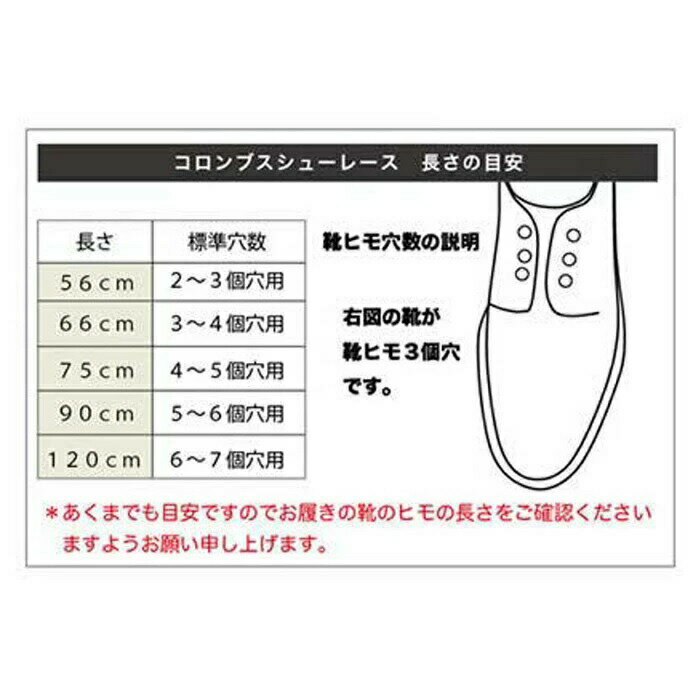 コロンブス ビジネスシューズ用 シューレース ...の紹介画像2