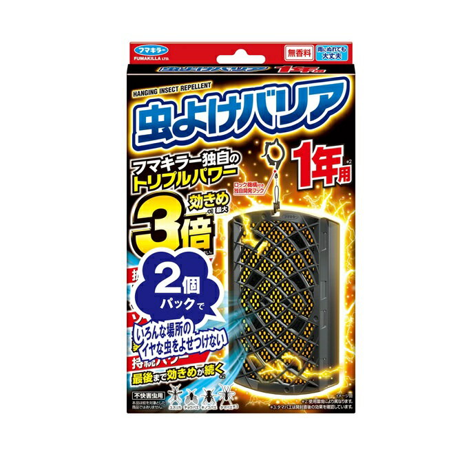 ��10�ĥ��åȡ� �եޥ��顼 ��褱�Хꥢ 1ǯ��(2����)��10�ĥ��åȡ������ʡ�