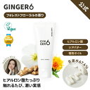 【Ginger6公式】ジンジャー6 Ginger ハンドクリーム 65ml 保湿 しっとり さらさら 乾燥対策 手荒れケア 肌バリア 美容ハンドクリーム 韓国コ...