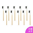 【お得な10点セット】コーム ブラシ 2種類で使い分け 【クリアケース付き】 まつ毛 眉毛 まつ毛エクステ マツエク まつ毛パーマ 全てにご利用頂けます アイラッシュ 眉ブラシ まつ毛ブラシ ブラシ アイラッシュ メイクブラシ シングルラッシュ ボリュームラッシュ マスカラ
