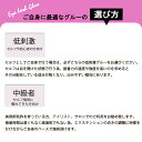 【お得なまとめ買い2点セット】 ゴールドピグメンツグルー 10g 長い持続力やスピードを求める方 まつげエクステ グルー プロ用 アイリスト用 マツエクグルー 超速乾 持続性抜群 セルフ ボリュームラッシュ シングルラッシュ マツエク グルー 3