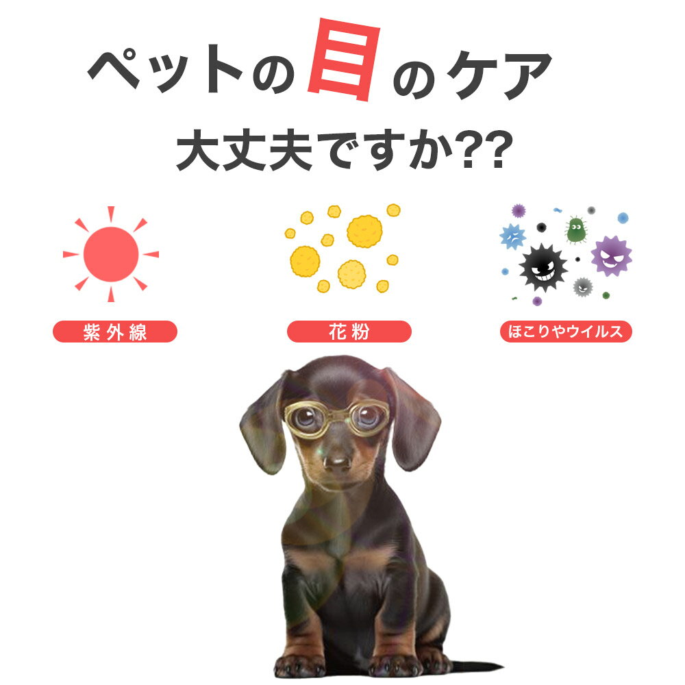 目を保護 かわいい小型犬用ゴーグル ドッグゴーグル 犬用サングラス ペットゴーグル キャットゴーグル 紫外線対策 車酔い対策 送料無料 トイプードル ミニチュアダックス シーズー ビーグル クリスマス ギフト プレゼント おしゃれ ツーリング ドライブ ペットメガネ
