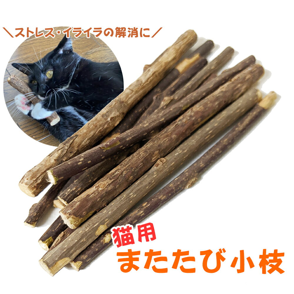 【ニチドウ】メディプレコ20g ★ペット用品 ※お取り寄せ商品