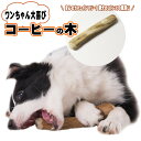 コーヒーウッド 小型犬用 ガジガジ遊びで歯にうれしい習慣 犬の噛むおもちゃ 無添加 100%ナチュラル 天然 木 コーヒーの木 カフェインフリー デンタルケア ...