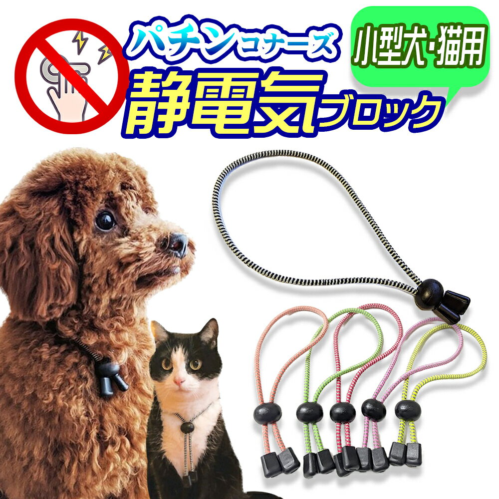 ペット用&飼い主さん用 イニシャルネックレス/ブレスレット ゴールド シルバー ブロンズ （L）40-47.5cmペア お揃いアクセサリーペット 犬 猫 動物 ウサギ チワワ ダックス トイプードル パグ プードル キャバリア ポメラニアン マルチーズ フレンチブルドッグ 豆柴