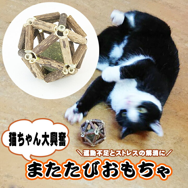 即納 猫おもちゃ またたび ボール 猫 噛むおもちゃ またたび 木 またたびトイ 天然 安全 子猫歯ぎしり咀嚼おもちゃ マタタビ 猫遊び用 歯のクリーニング ストレス解消 送料無料