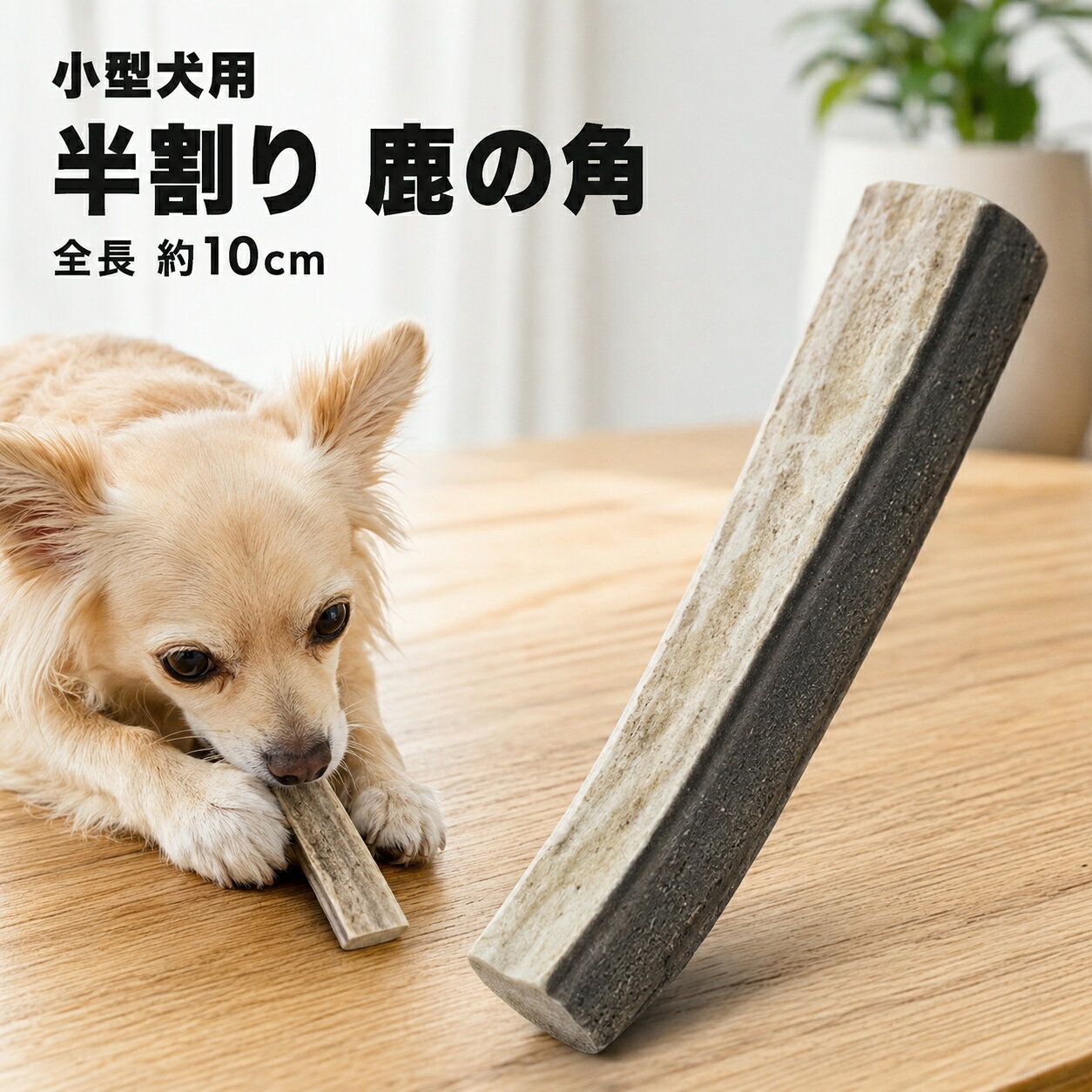 商品画像1