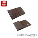 【定形外郵便発送】【LUCIANO VALENTINO】ルチアーノバレンチノ】紳士用 名刺入れ オーストリッチ柄レザーカードケース 本革牛革10P03Dec16...