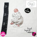 【正規販売店】マイルストーンカードセット【Loved Beyond Measure】(lulujo/ルルジョ) モノトーン