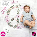 ★新色★【正規販売店】【ルルジョ / lulujo】マイルストーンカードセット【All You Need Is Love】【ナチュラル / ボタニカル / 花柄...