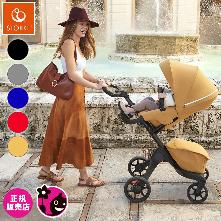 Źۡڥȥåۥץ꡼XڥХ˭١ۡڥ٥ӡ/Х/ȥ顼̵̵ۡۡ/ϥ//ξ/ꥯ饤˥󥰡ۡstokke/xplory