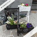 選べるお祝いプランター