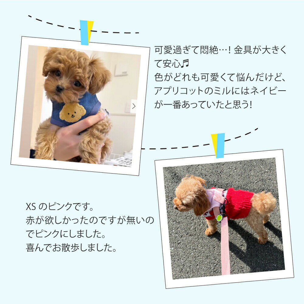 犬 ハーネス ハーネス 犬 リード 小型犬 可愛い 抜けない ハーネスベルト ロック ...
