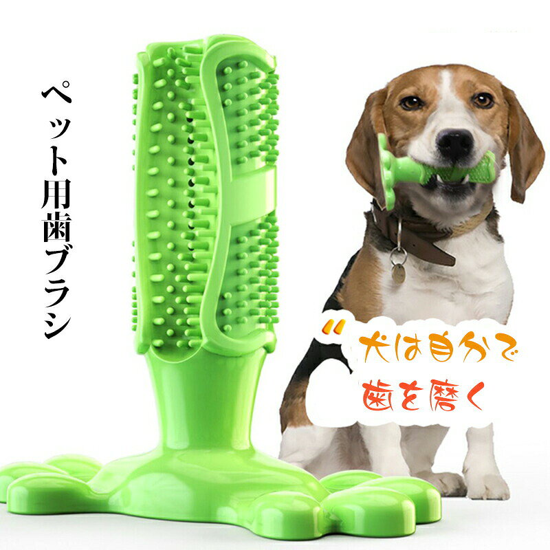 Toothbrush - 犬 歯磨き おもちゃ 犬歯ブラシ ペット用 歯ブラシ 子犬かむ玩具 犬用歯ブラシ 犬歯ブラシ 犬用 デンタルケア用品 ペット口腔ケア用 犬猫用歯磨き 歯磨き マウスケア ペット ペットお手入れ用品