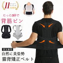 【楽天1位】 猫背矯正ベルト 姿勢矯正ベルト 姿勢矯正 姿勢サポーター 猫背ベルト 姿勢ベルト 姿勢矯正 背筋矯正 巻き肩補正 猫背矯正 猫背サポーター 背筋サ...