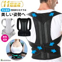 【期間限定 5,000円⇒2,682円】【楽天1位】BEALTH 姿勢矯正ベルト 猫背矯正 姿勢矯正 猫背矯正ベルト 男性 女性 兼用 サポーター 補正下着 ベルト 美姿勢 猫背 姿勢 矯正 インナー 背筋 補正 保持 洗濯可能 テレワーク 在宅ワーク メンズ レディース