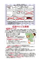 湯たんぽ　スタンド式　1.8Lオレンジ　カバー付き　SGマーク認証品　日本製　BLOWMANオリジナル　ポリ湯たんぽ　ユタンポ　ゆたんぽ　プラスチック　湯たんぽ　湯タンポ　おしゃれ　レトロ　キャンプ　災害　防災 3