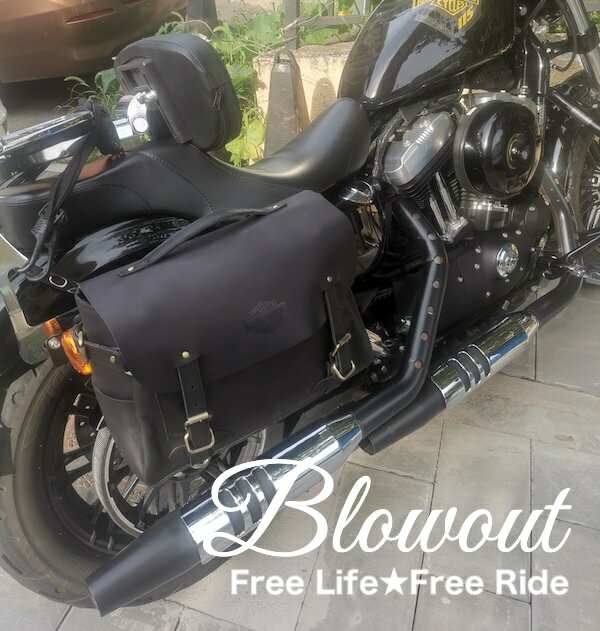 各色あり ハーレー 本革 左右選択 サドルバック スポーツスター サイドバック　XL883 XL1200 48 フォーティエイト アイアン レザー サドルバッグ